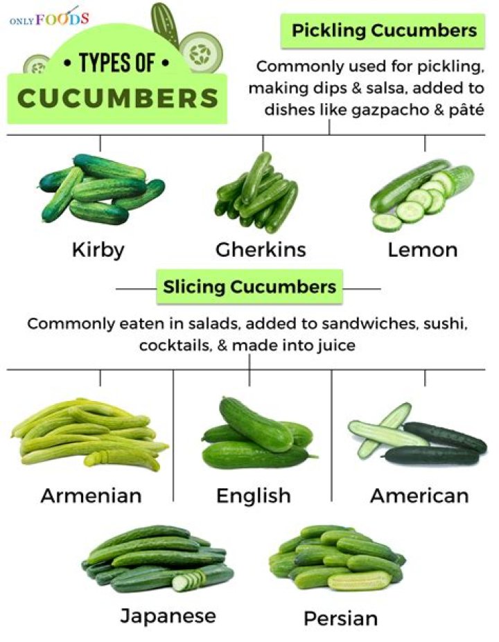 What is another name for cucumber